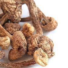 Buy Brazilian Magic Mushrooms Buy Brazilian Magic Mushrooms